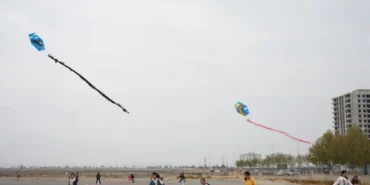 Kayapınar Belediyesi, "Uçurtma Şenliği" düzenledi