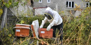 Kayseri Büyükşehir'e kovan dolusu teşekkür