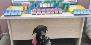 Kayseri'de kaçakçılık operasyonunda 2 şüpheli yakalandı