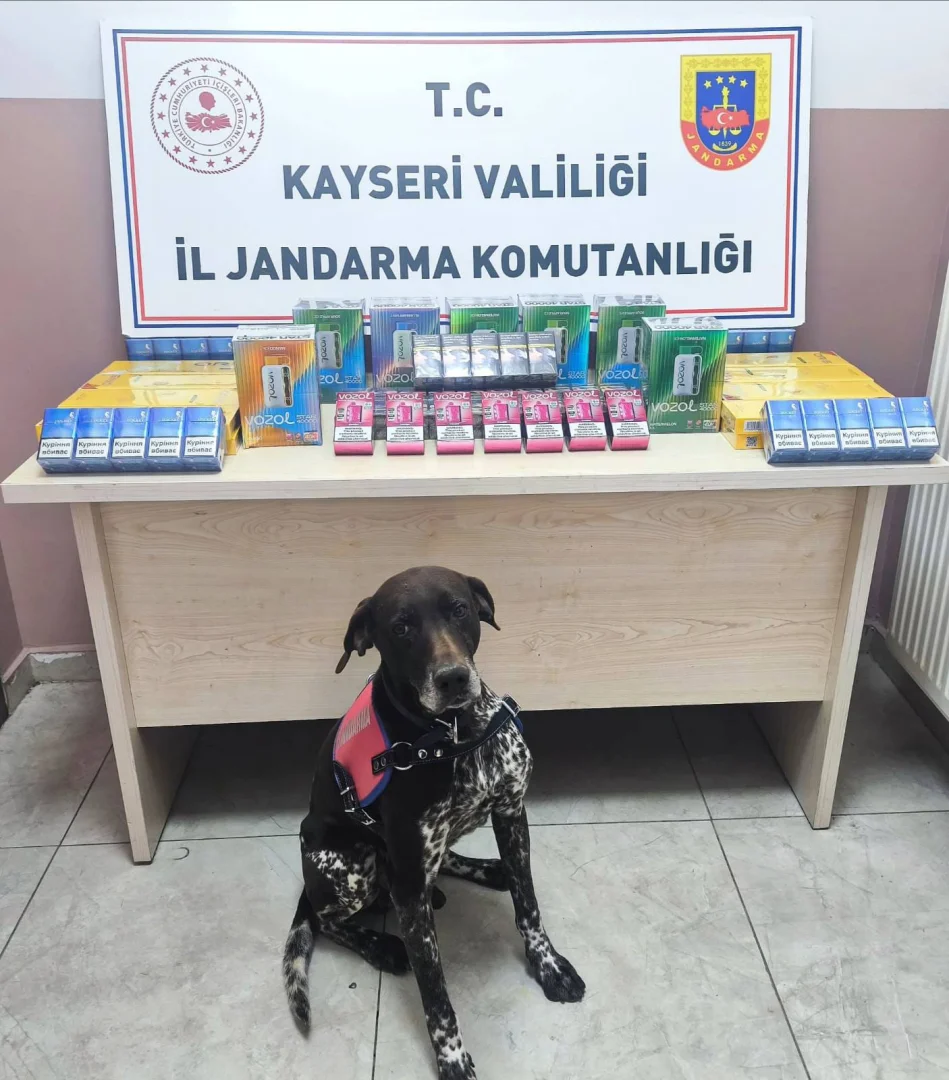 Kayseri'de kaçakçılık operasyonunda 2 şüpheli yakalandı