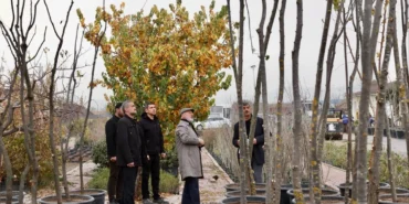 Kayseri Kocasinan şehri yeşile boyuyor