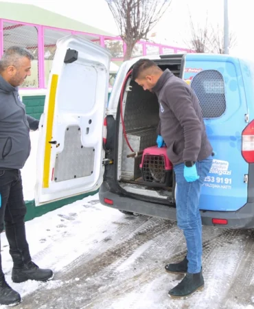 Kayseri Melikgazi'nin 'Sevimli Dost Ambulansı' boş durmadı