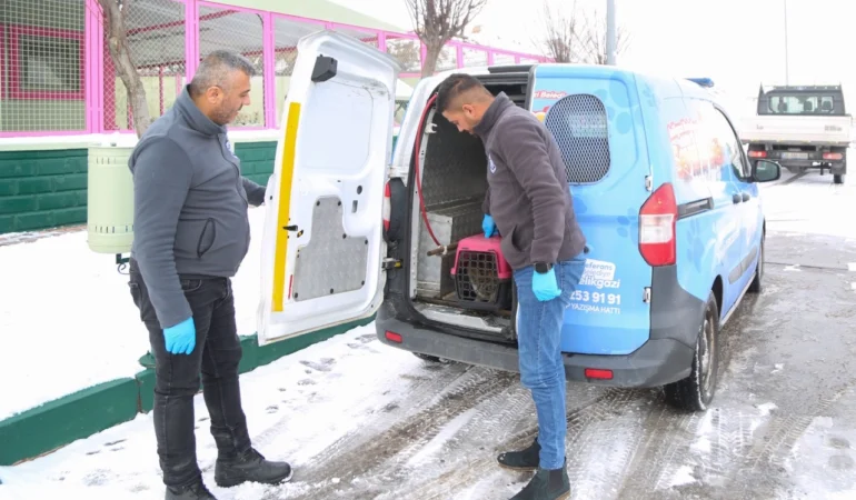 Kayseri Melikgazi'nin 'Sevimli Dost Ambulansı' boş durmadı