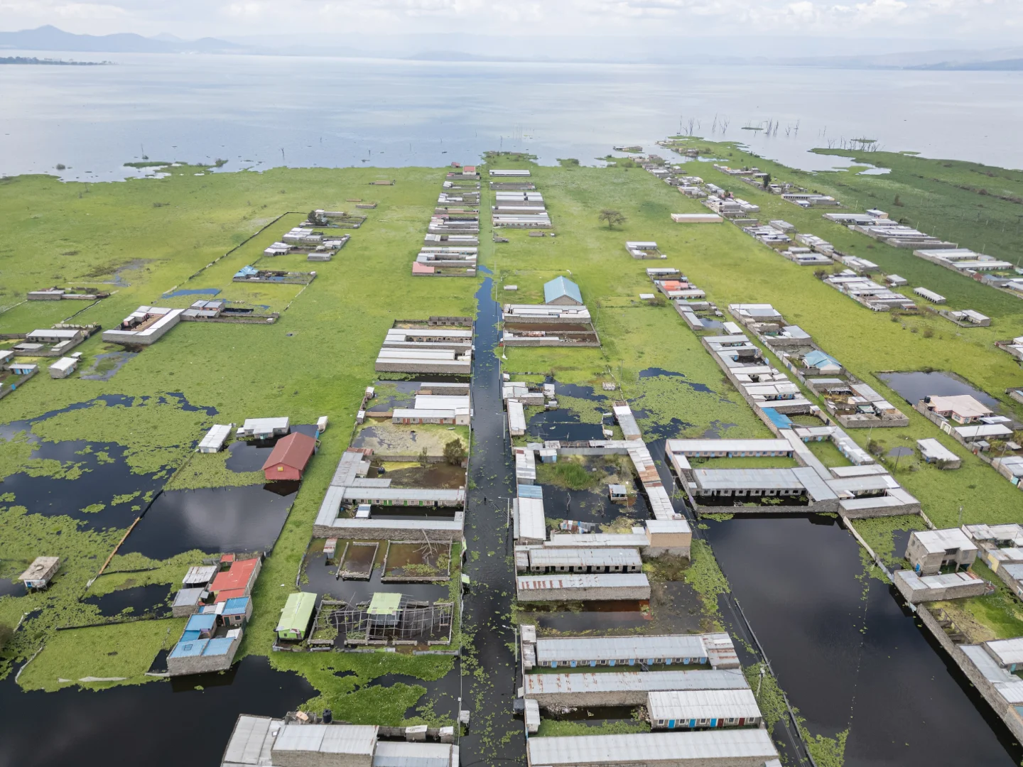 Kenya'daki Naivasha Gölü taştı, yüzlerce kişi yerinden oldu