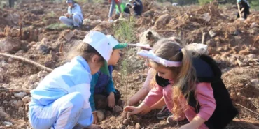 Kepez'de yangında zarar gören alanlarda fidan dikildi