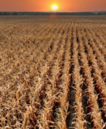 Kırsal kalkınma desteklerinde yeni dönem: Hibe oranları %70’e çıkıyor