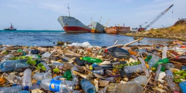 Kıyı tesisleri deniz kirliliği sigortasında teminatlar üç kat arttı