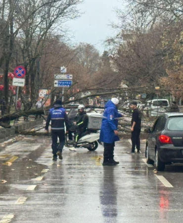 Kocaeli Büyükşehir'de lodos müdahalesi