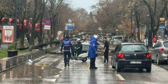 Kocaeli Büyükşehir’de lodos müdahalesi