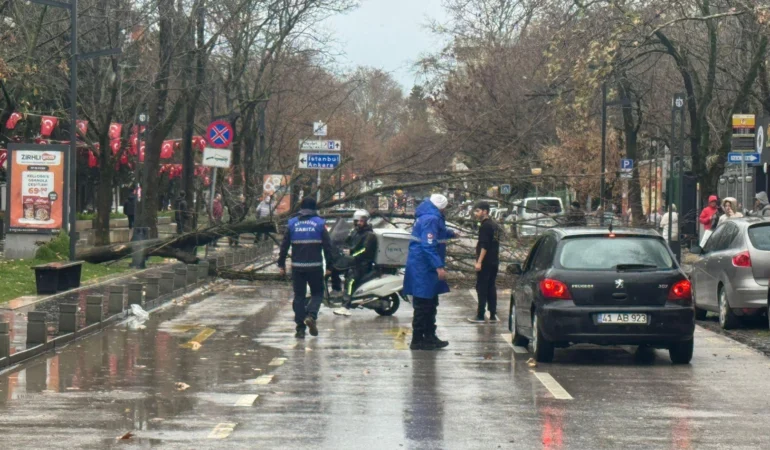 Kocaeli Büyükşehir'de lodos müdahalesi