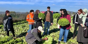 Kocaeli Büyükşehir’den aday çiftçilere uygulamalı tarım eğitimi