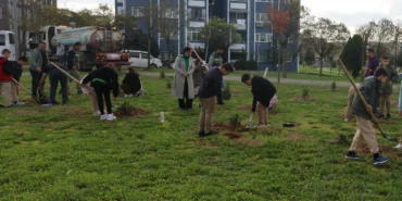 Kocaeli'de Çayırovalı öğrenciler, fidanları toprakla buluşturdu