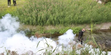 Kocaeli'de sinekle mücadele dört mevsim hız kesmiyor