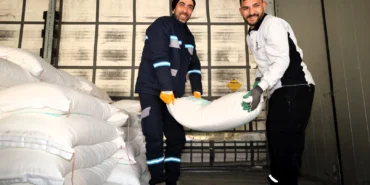 Kocaeli'den arıcılara yüzde 50 hibeli arı yemi