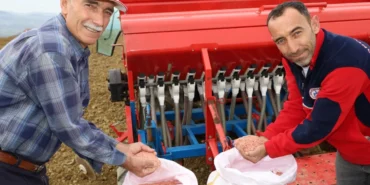 Kocaeli’nde Hibeli Tohumlar Tarlalarla Buluştu