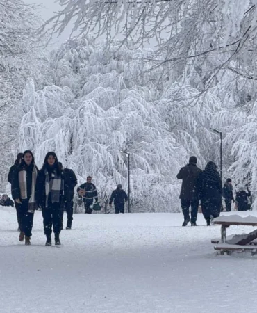 Kocaeli Ormanya, 2025’te de doldu taştı