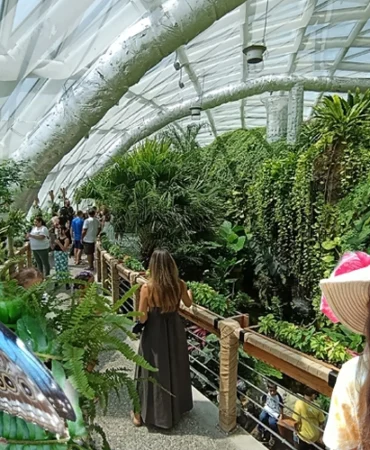 Konya'nın tropikal turizm yıldızı... 2025'te de ziyaretçi akınına uğradı