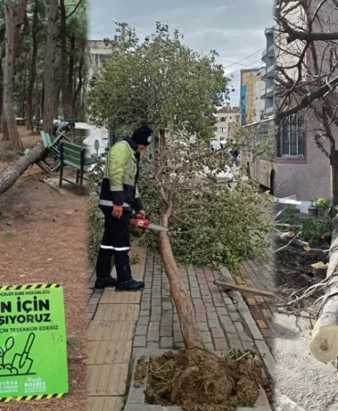 Lodos Bursa'yı vurdu! Büyükşehir sahada