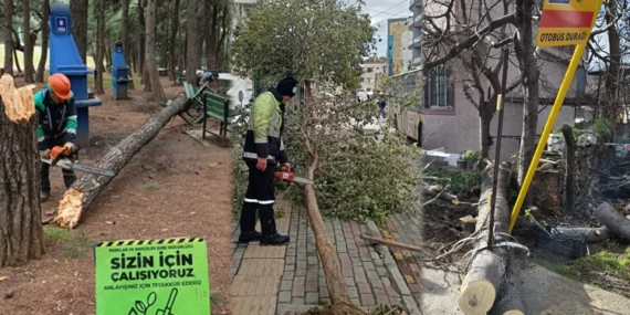 Lodos Bursa’yı vurdu! Büyükşehir sahada