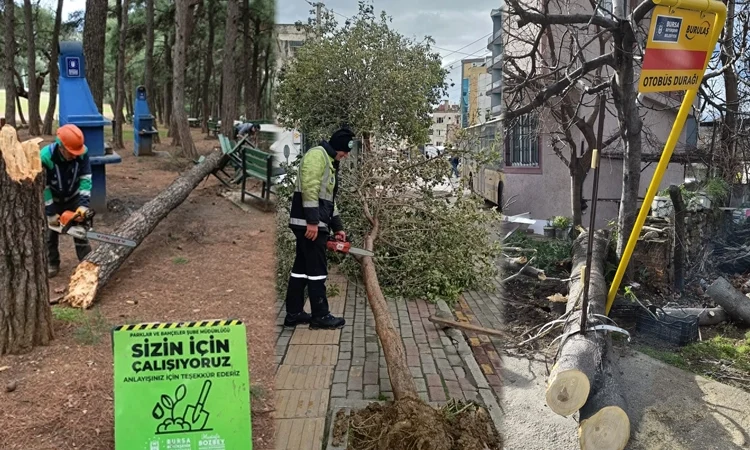 Lodos Bursa'yı vurdu! Büyükşehir sahada