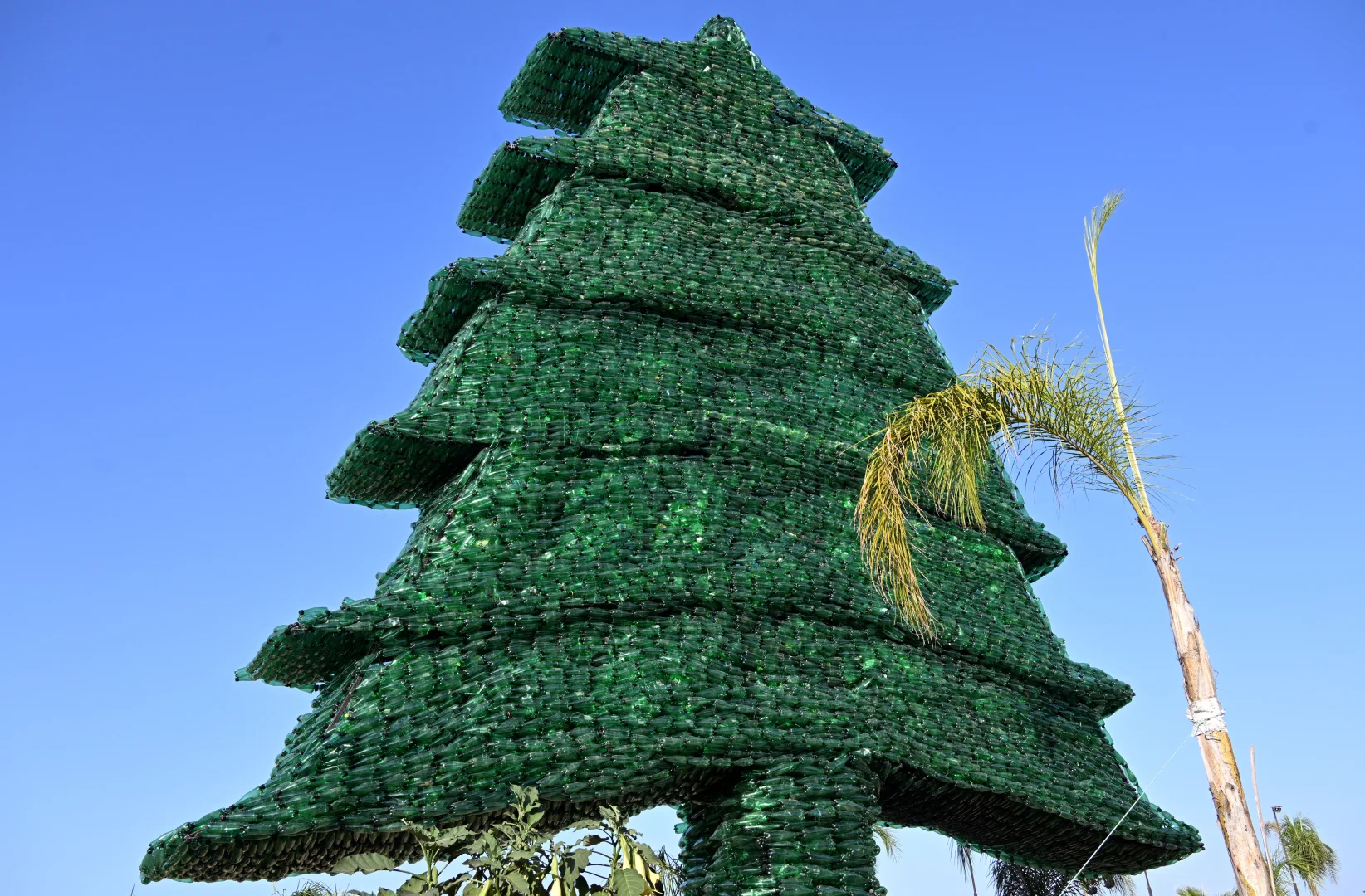 Lübnan'da doğa bilincine dikkat çekmek için binlerce plastik şişeden dev sedir ağacı yapıldı