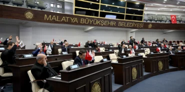 Malatya'da 300 dekarlık alan fidan ve çim üretimi için kiralandı