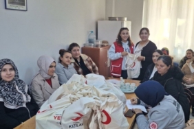 Malatya’da annelere yönelik 'Bebek Akademisi' buluşması