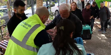 Maltepe’de sokak hayvanlarına yerinde tedavi hizmeti
