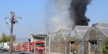 Manisa'da serada çıkan yangın söndürüldü