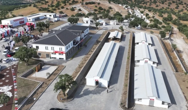 Manisa Şehzadeler'de Sarıalan kapatılıyor, nakil başlıyor