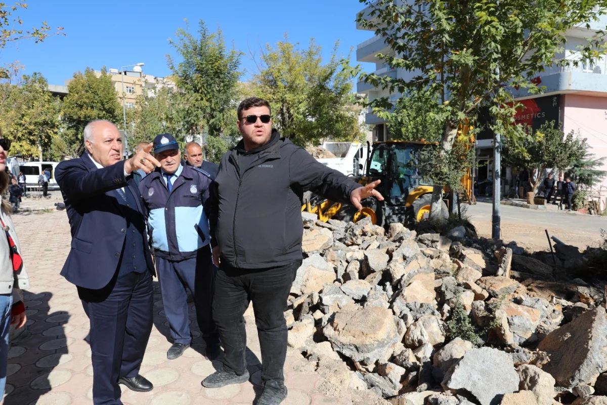 Mardin Yeşilli’de Büyük Dönüşüm: 50 Bin Ağaçlık Yeşil Hamle