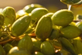 Marmarabirlik’te Üçüncü Dilim İçin Geri Sayım