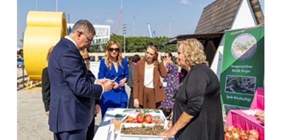 Menderes’te salep umudu