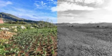 Mersin’de iklim ve yeşil dönüşüm önceliği