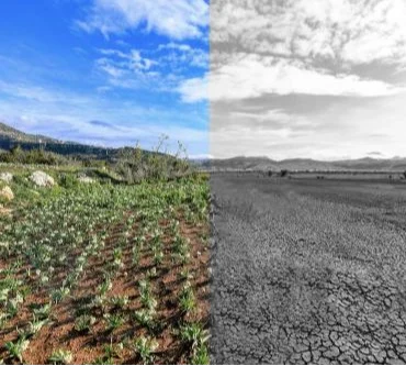 Mersin’de iklim ve yeşil dönüşüm önceliği