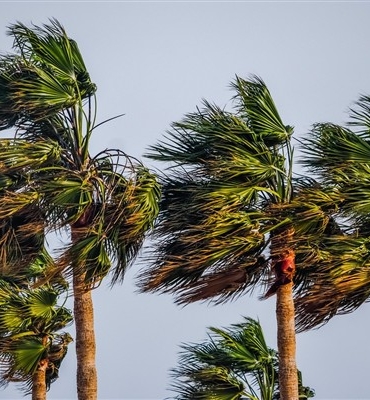 Meteoroloji’den fırtına uyarısı