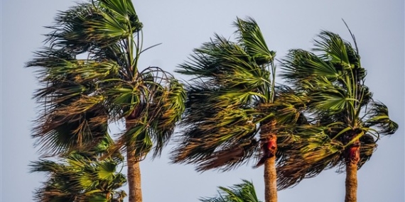 Meteoroloji’den fırtına uyarısı