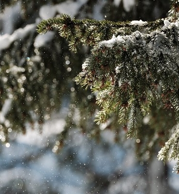 Meteoroloji’den kuvvetli kar yağışı uyarısı