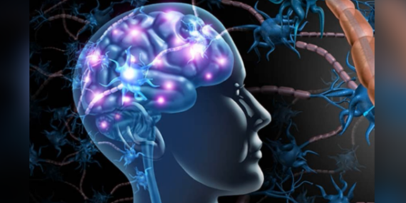 MS'in iki yeni alt tipinin keşfi ile tedavide devrim yaratması bekleniyor