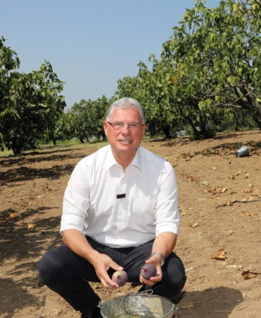 Mudanya Belediyesi’nden taşınmaz açıklaması: Satışa çıkan alanlar köy arazisi değil