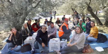 Mudanya'da birlikte zeytin topladılar