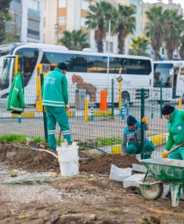 Muğla Milas yeşile bürünüyor