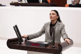 Nurhayat Altaca Kayışoğlu: “Özgür sanat olmadan demokrasi olmaz”