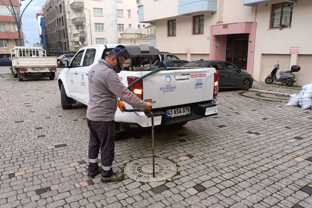 Ordu’da kışlak mücadelesi başladı