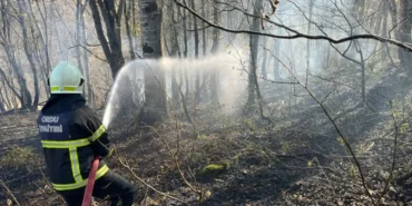 Ordu’da son bir haftada 40 yangın çıktı