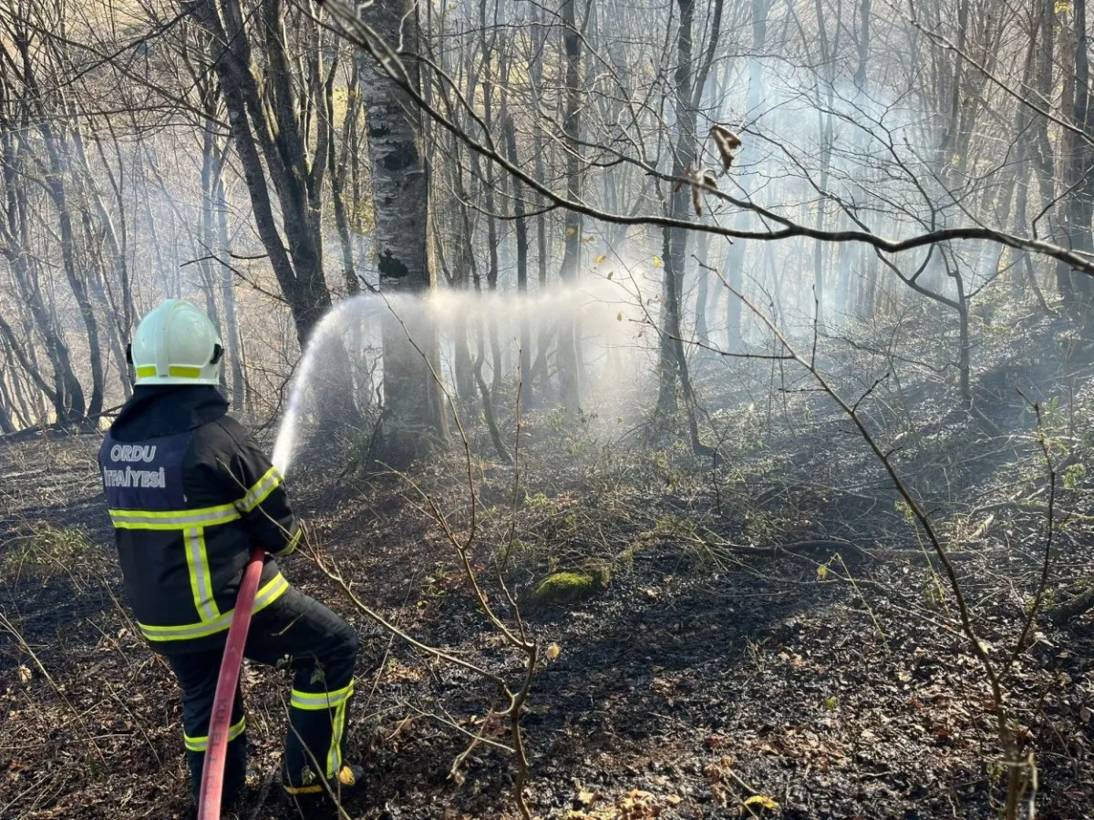 Ordu’da son bir haftada 40 yangın çıktı