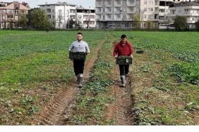 Osmangazi Belediyesi Doğal Üretimle Sofralara Sağlık Sunuyor