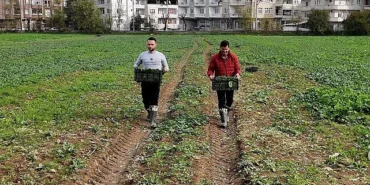 Osmangazi Belediyesi Doğal Üretimle Sofralara Sağlık Sunuyor