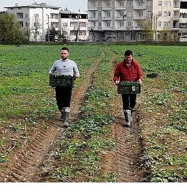 Osmangazi Belediyesi Doğal Üretimle Sofralara Sağlık Sunuyor