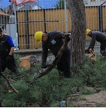 Osmangazi Belediyesi’nden Lodosa Karşı Etkin Müdahale